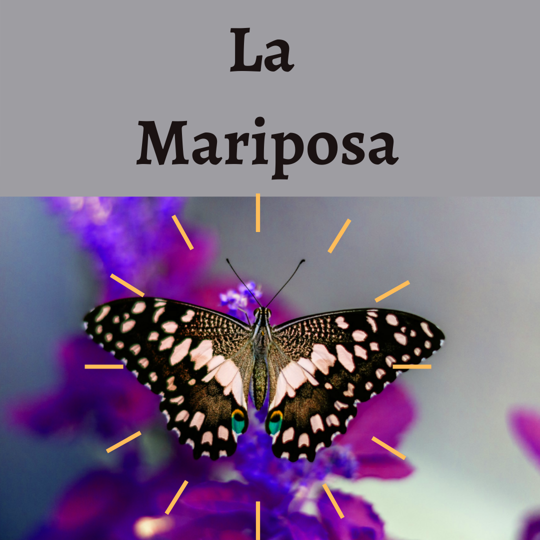 La mariposa